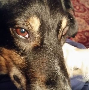 Meet your Posher, Sally